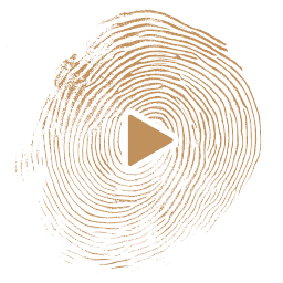 Video abspielen Button